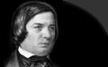 Schumann in Wikipedia